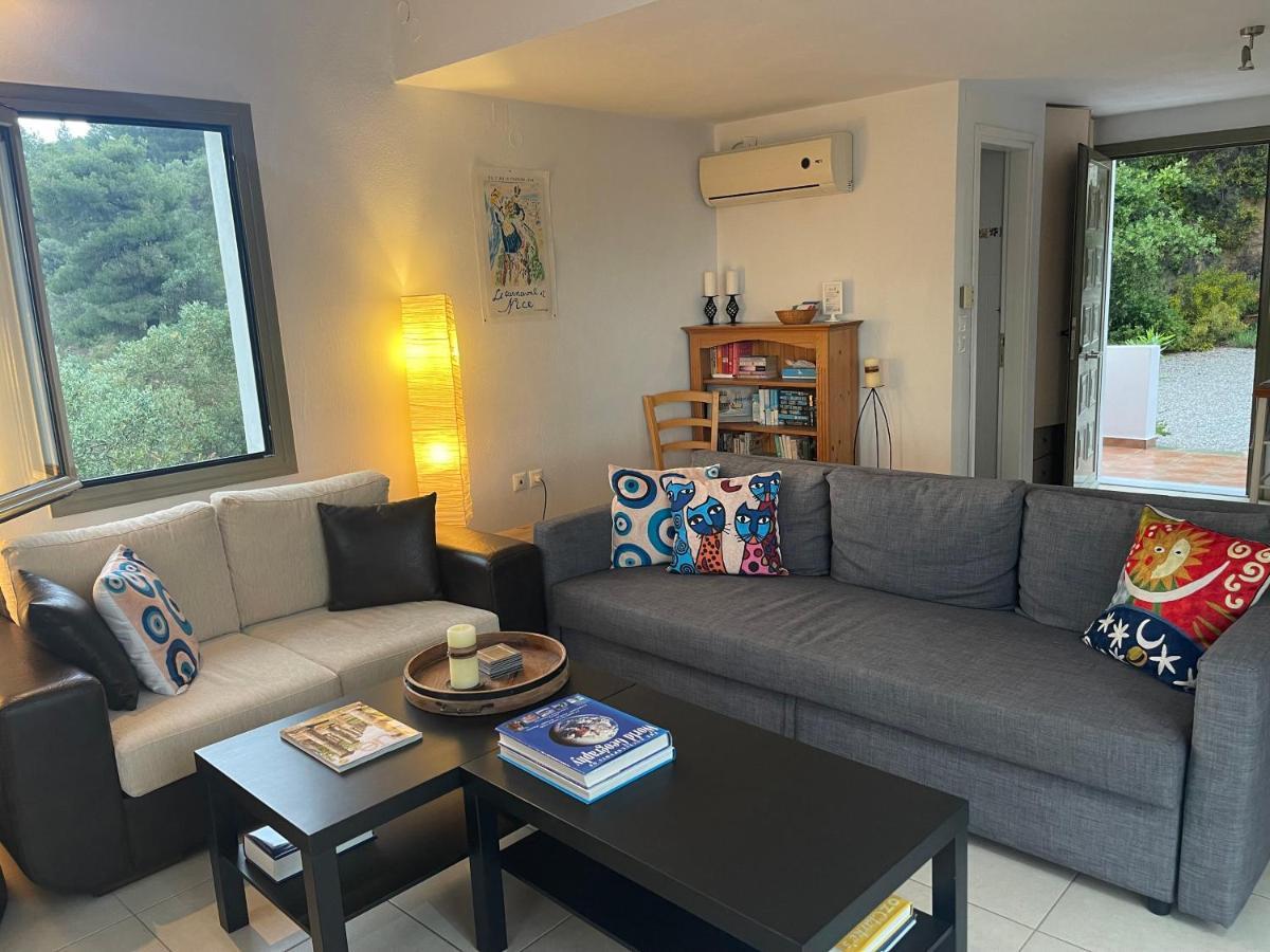 Skiathos Seaview Villa With Pool Punta Екстер'єр фото